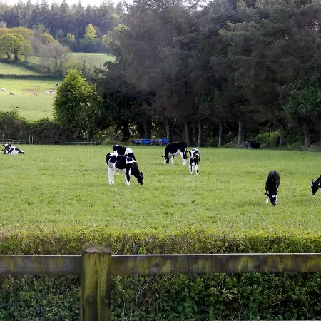 Country house An Sceal Fada Tallow